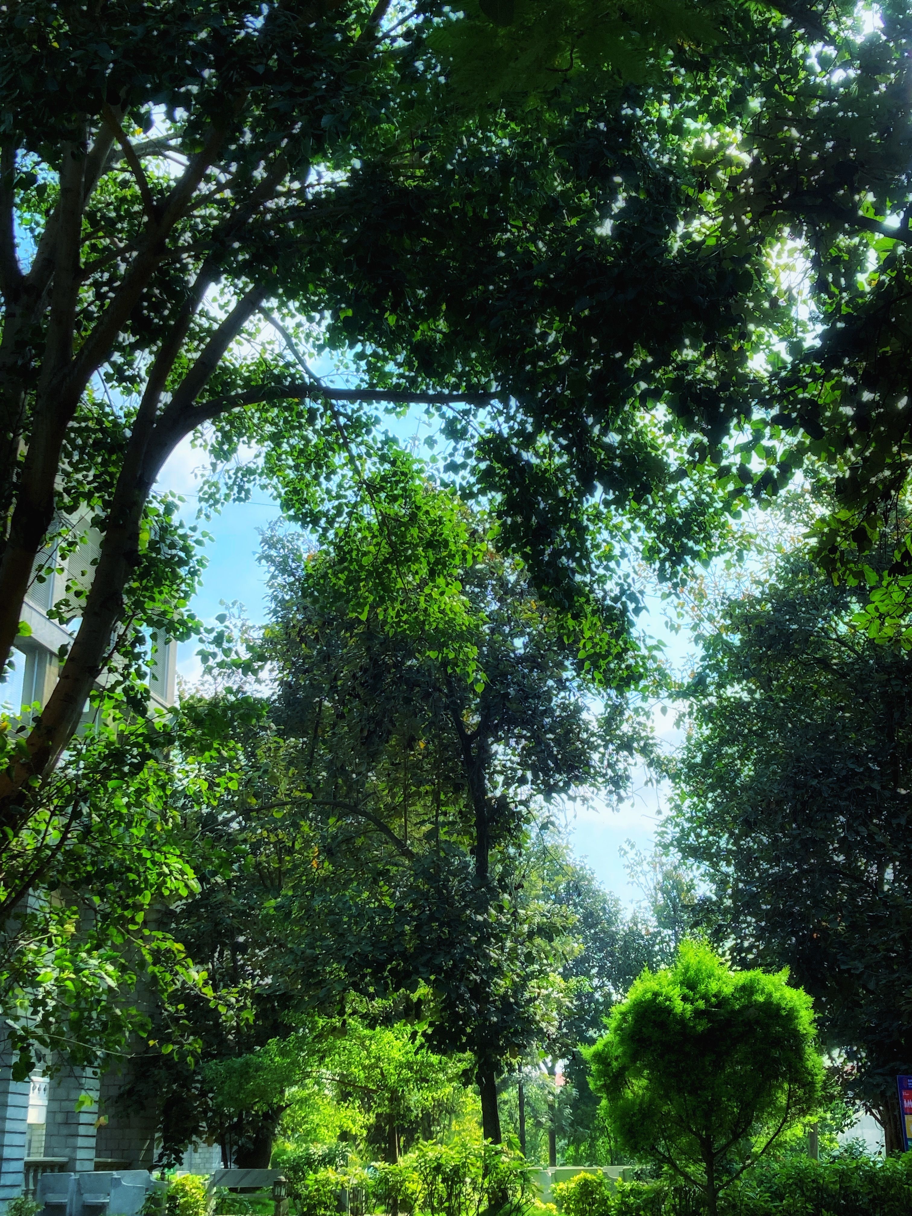 Green Campus